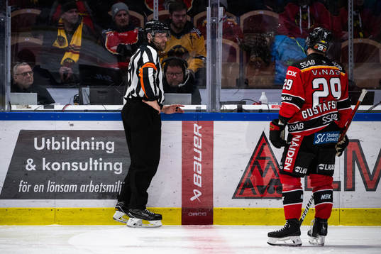 Domare Mikael Sjöqvist och Luleås Erik Gustafsson