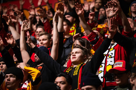 Luleås supportrar