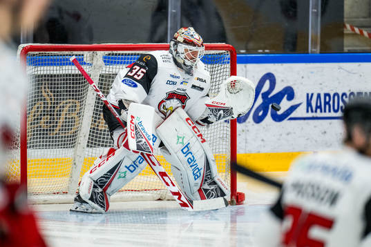 Malmö Redhawks målvakt Adam Werner