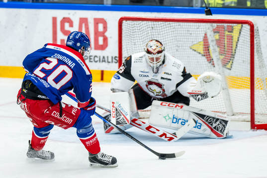 Oskarshamns Hynek Zohorna och Malmö Redhawks målvakt Adam