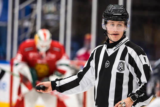 Linjedomare Joakim Nordberg