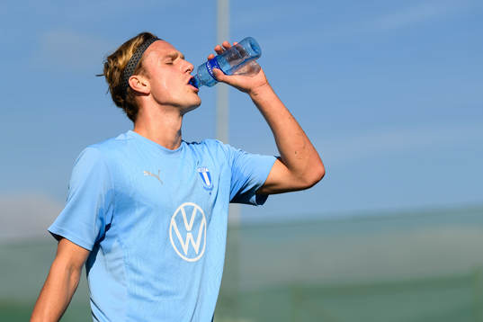 Malmö FFs Erik Botheim
