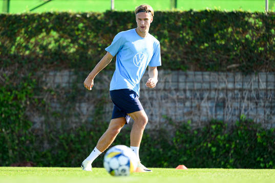 Malmö FFs Erik Botheim