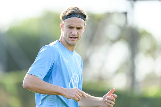 Malmö FFs Erik Botheim