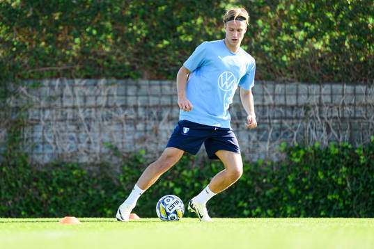 Malmö FFs Erik Botheim