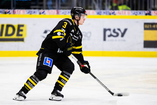 Västerås Ludvig Östman