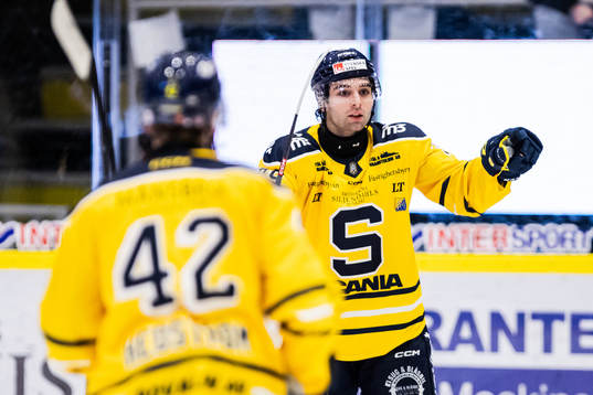Södertäljes Stelio Mattheos jublar