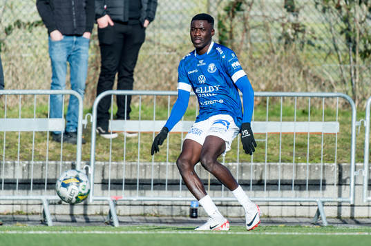 Trelleborgs Emmanuel Godwin