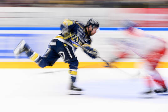 HV71s Mattias Tedenby