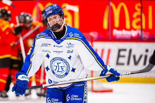 Leksands Ida Press deppar