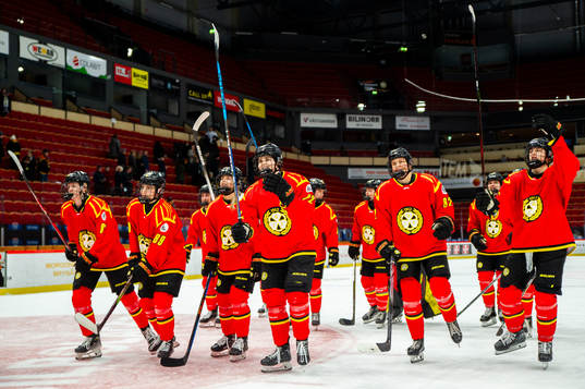 Brynäs spelare jublar