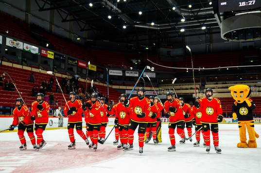 Brynäs spelare jublar