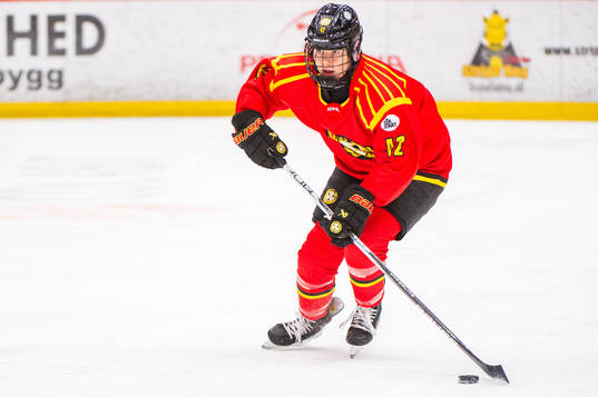 Brynäs Sini Karjalainen