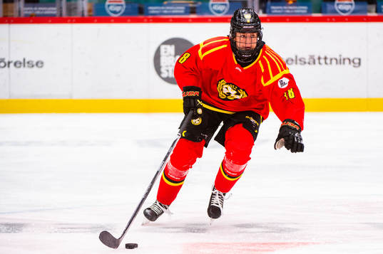 Brynäs Jenniina Nylund