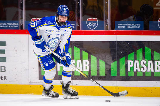Leksands Tereza Radova