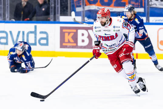 Timrås Robin Hanzl