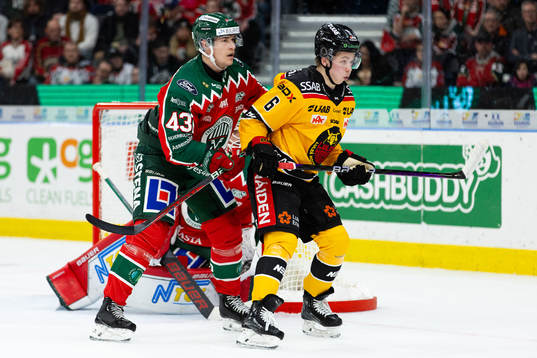 Frölundas Tom Nilsson och Luleås Isac Hedqvist