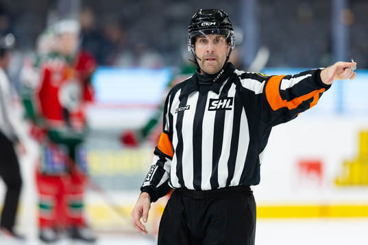 Domare Mikael Sjöqvist