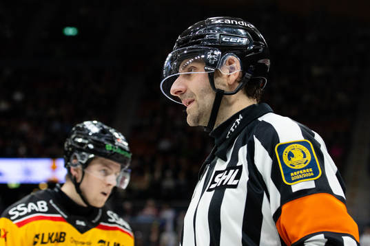 Domare Mikael Sjöqvist