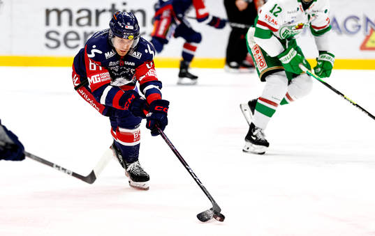 <lili61under ishockeymatchen i SHL mellan Linköping och