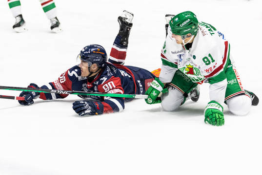 Linköpings Lance Bouma och Rögles Adam Tambellini