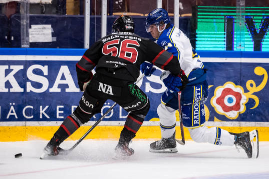 Leksands Carter Ashton