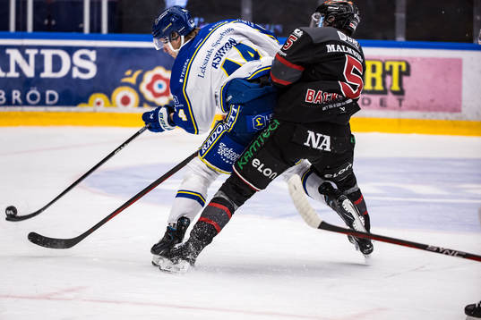 Leksands Carter Ashton