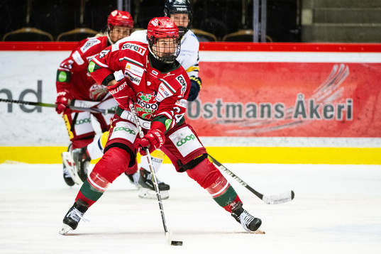 Modos Ebba Hedqvist