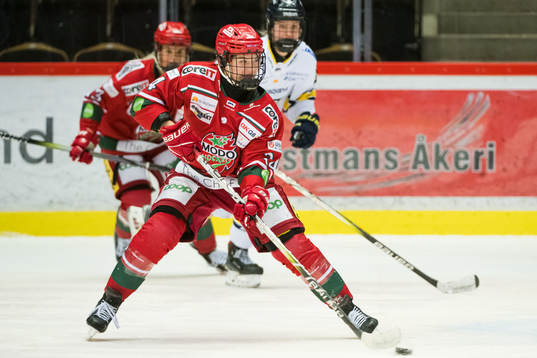 Modos Ebba Hedqvist