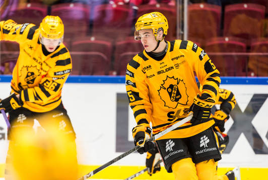 Skellefteås Axel Sandin Pellikka