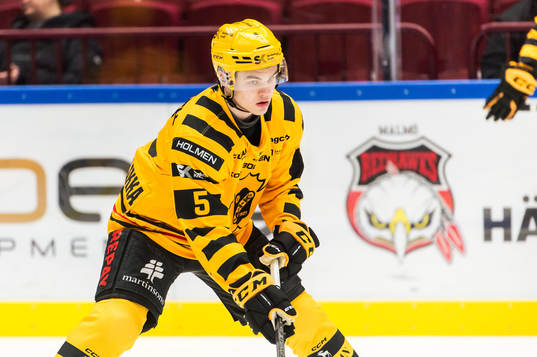 Skellefteås Axel Sandin Pellikka