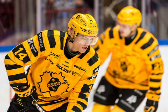 Skellefteås Andreas Johnson