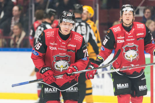 Malmö Redhawks Tomi Sallinen och Thomas Berg Paulsen deppar