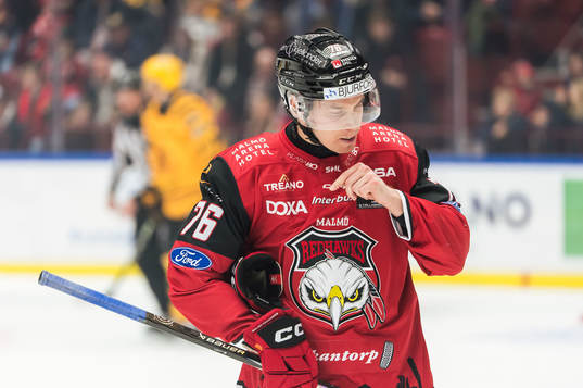 Malmö Redhawks Tomi Sallinen deppar