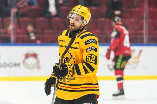Skellefteås Arvid Lundberg deppar