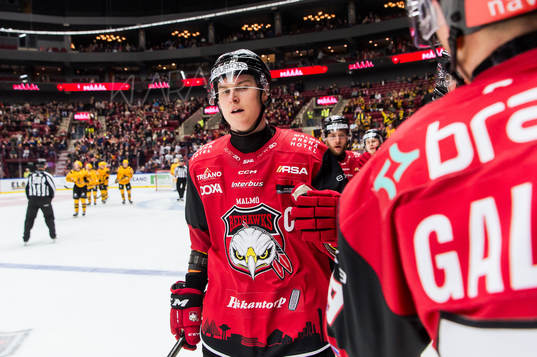 Malmö Redhawks Fredrik Händemark jublar