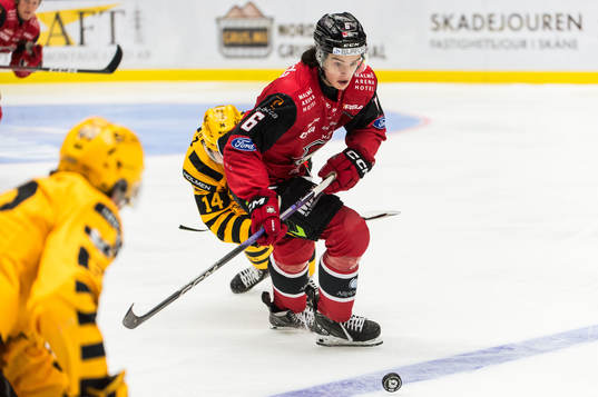 Malmö Redhawks Dominik Badinka