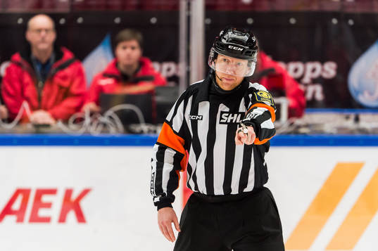 Domare Mikael Holm