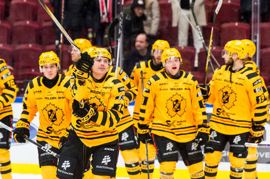 Skellefteås Andreas Johnson jublar