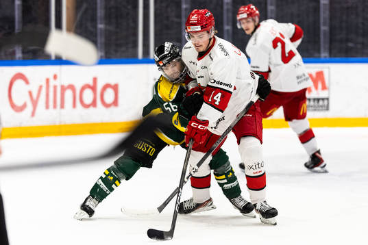 Bläddra bland fler bilder av Ishockey, Hockeyallsvenskan, Östersund - Almtuna