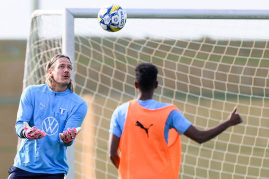 Malmö FFs målvakt Johan Dahlin