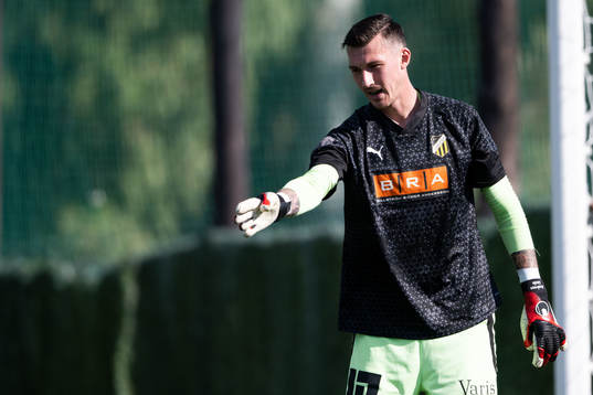 Goalkeeper Andreas Linde