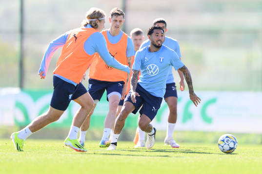 Malmö FFs Sergio Pena