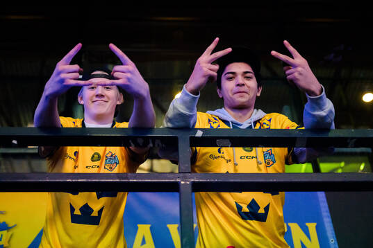 Swedish supporters