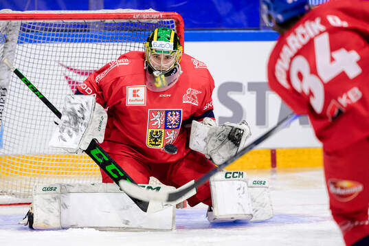 Goalkeeper Jakub Malek of Czech Republic