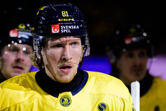 Marcus Sylvegård of Sweden celebrates