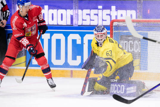 Goalkeeper Marcus Högberg of Sweden