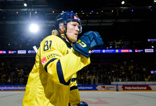 Marcus Sylvegård of Sweden celebrates