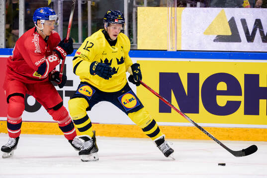 Lukas Jasek of Czech Republic and Max Friberg of Sweden