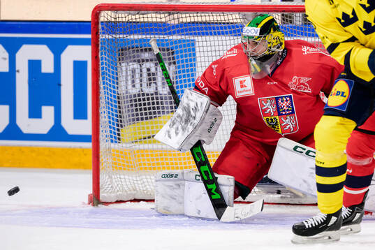 goalkeeper Jakub Malek of Czech Republic